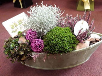 A modern, oblong planter filled with a variety of small plants creating a miniature garden. The arrangement includes succulents and green moss.