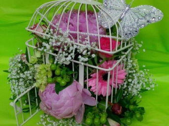 A white, decorative birdcage with its door open, filled with an arrangement of pink peonies, gerbera daisies, and baby's breath. A large, glittering silver butterfly is perched on the top of the cage, all set against a vibrant lime-green background.