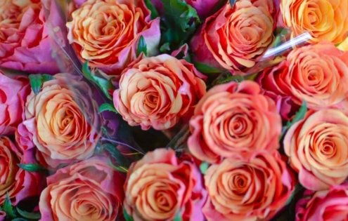 A close-up overhead view of a bouquet of beautiful pink and orange roses, tightly packed together.