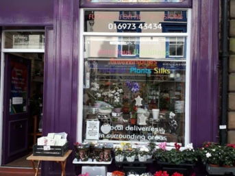 The storefront of "Rainbow Flowers," a shop with a bright purple facade, displaying a variety of potted plants and flowers on the sidewalk out front. The window advertises "Designs by Judith" and a phone number.